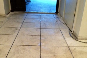 Marble floor polishing